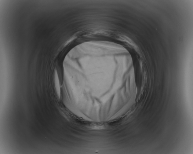 X0000083040405200703022053