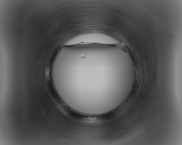 X0000083040406200703022053