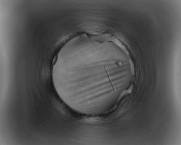 X0000083040407200703022053
