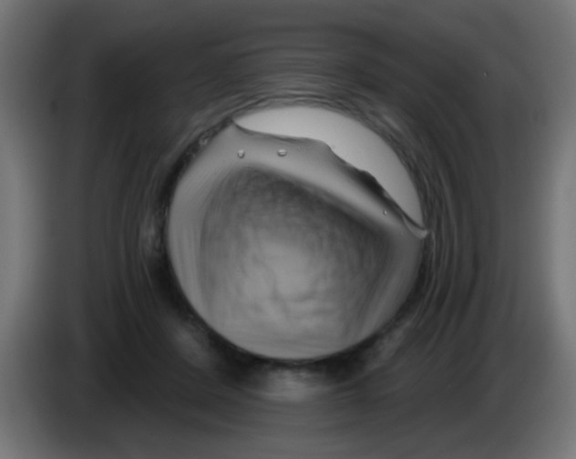 X0000083040408200703022053