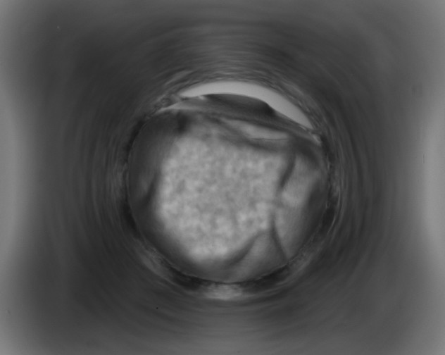 X0000083040409200703022053