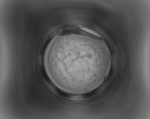 X0000083040410200703022053
