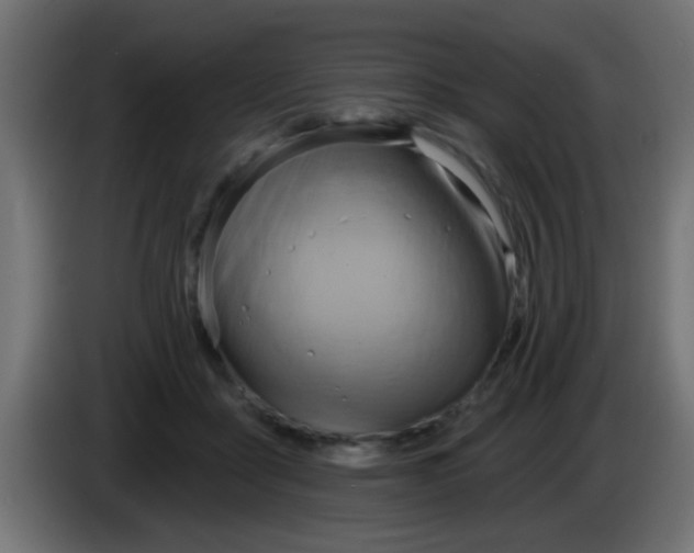 X0000083040411200703022053