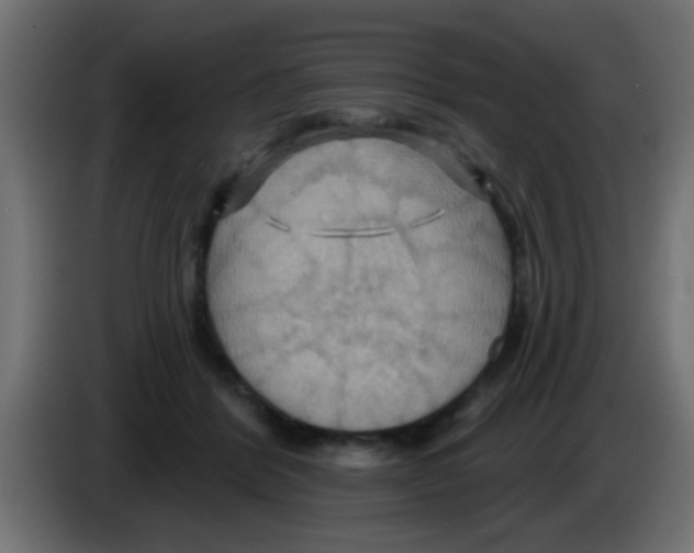 X0000083040412200703022053