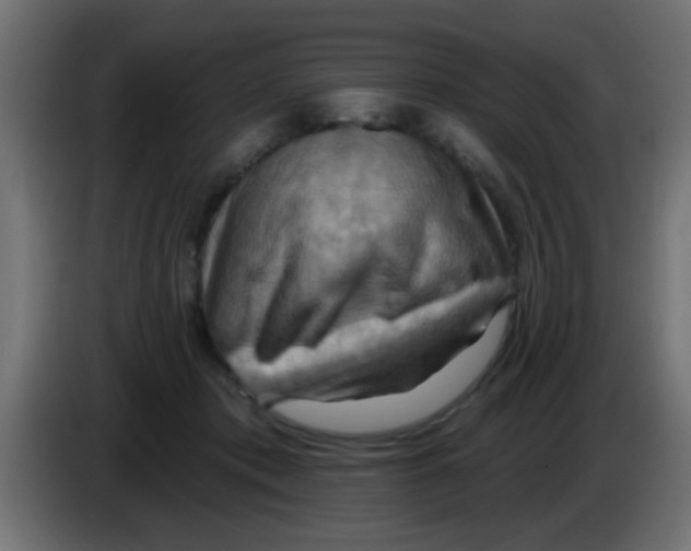 X0000083040413200703022053