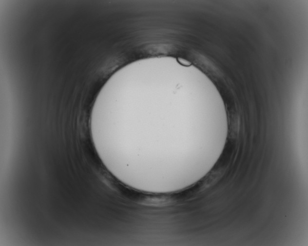 X0000083040414200703022053