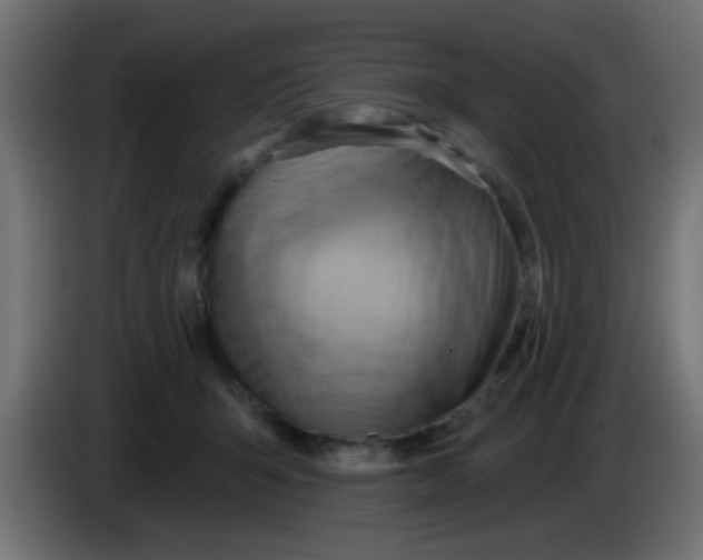 X0000083040415200703022053