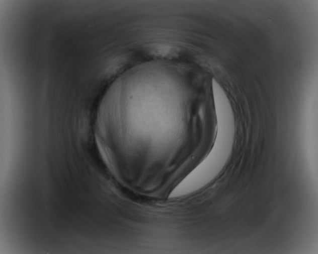 X0000083040416200703022053