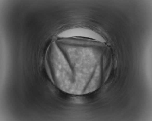 X0000083040417200703022053