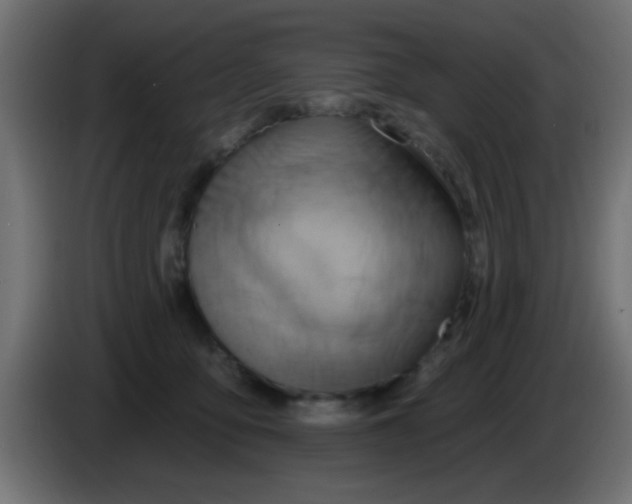 X0000083040419200703022053