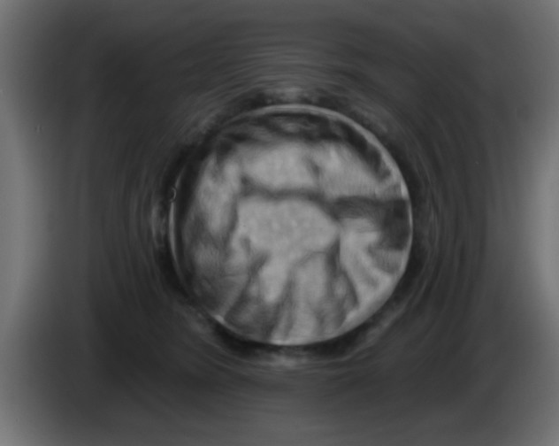 X0000083040420200703022053