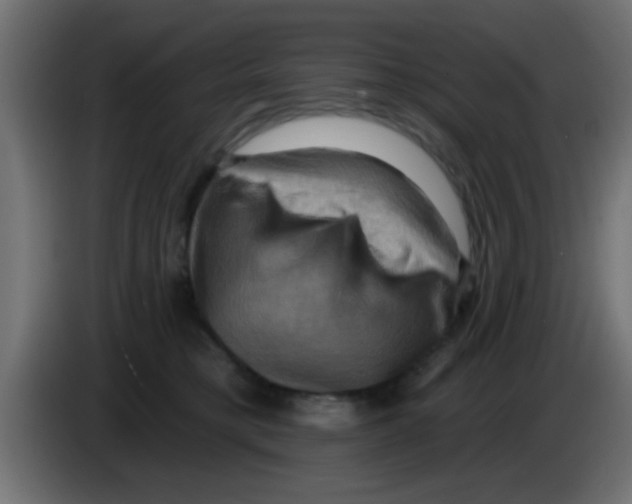 X0000083040421200703022053