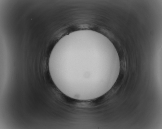 X0000083040422200703022053