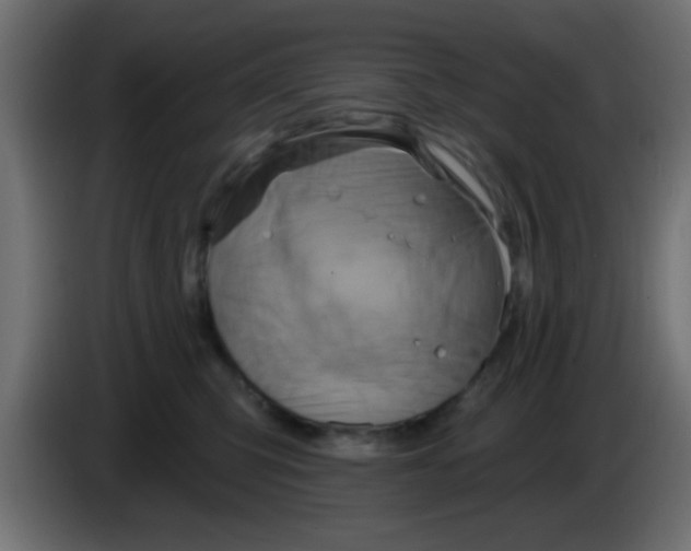 X0000083040423200703022053