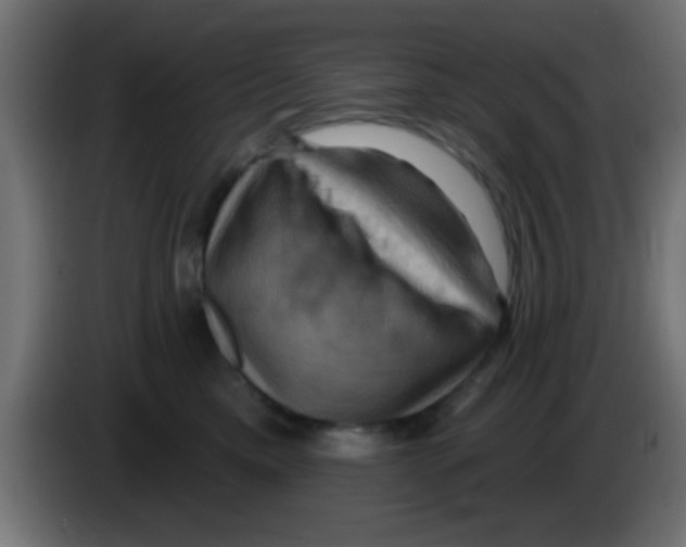 X0000083040425200703022053