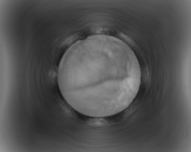 X0000083040427200703022053