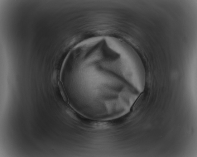 X0000083040428200703022053