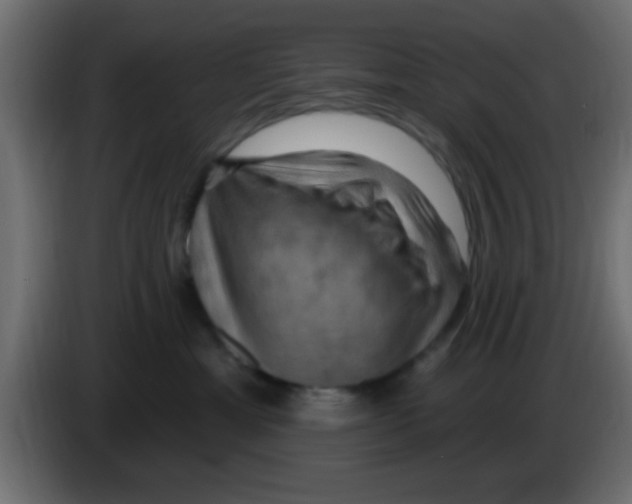 X0000083040429200703022053