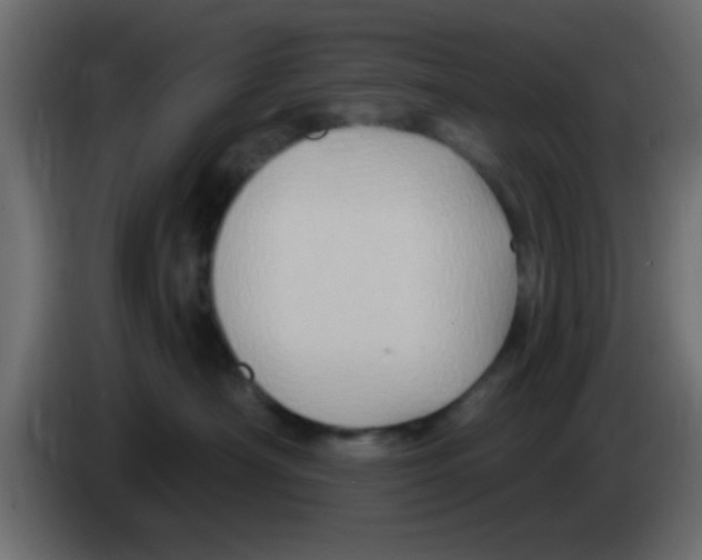 X0000083040430200703022053