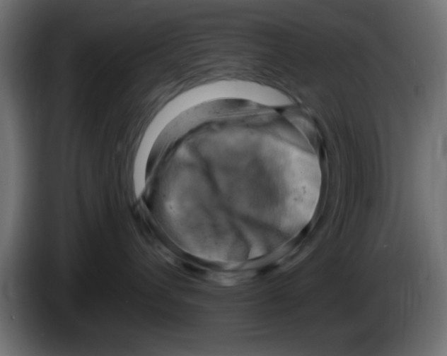X0000083040432200703022053