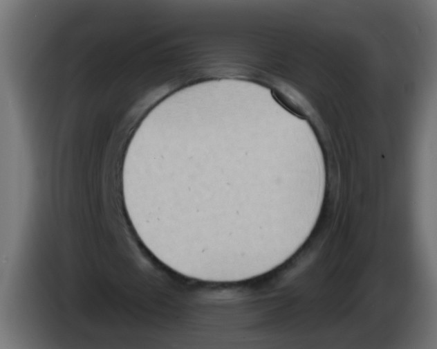 X0000083040433200703022052