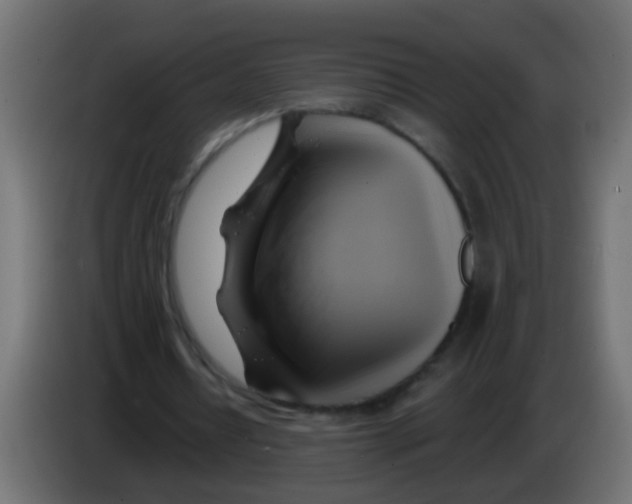 X0000083040434200703022052