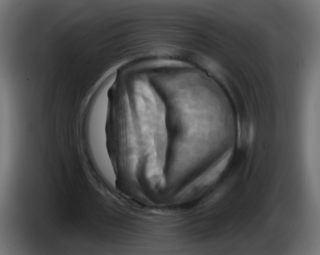 X0000083040435200703022052
