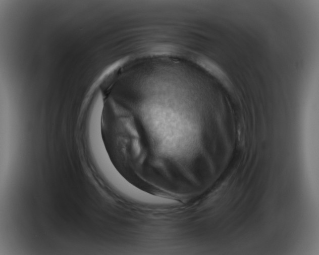 X0000083040436200703022052