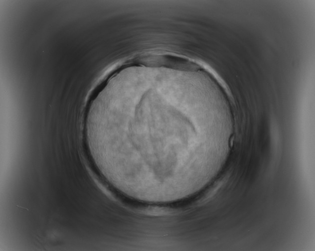 X0000083040437200703022052