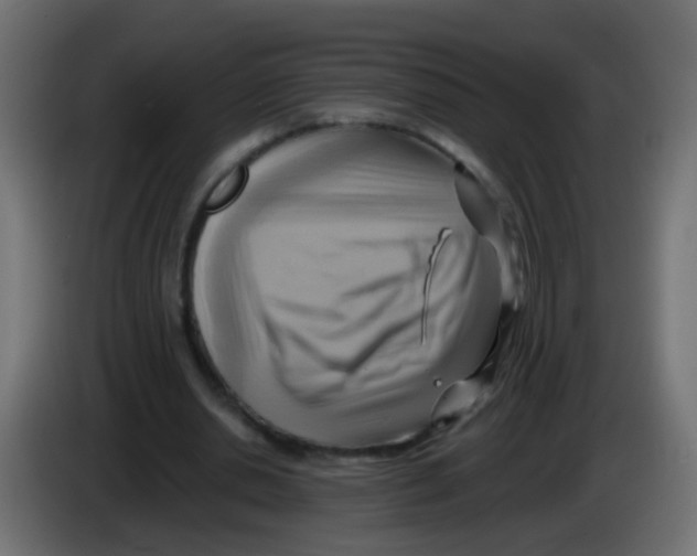 X0000083040438200703022052