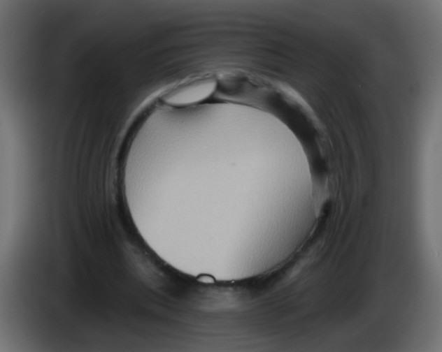X0000083040439200703022052