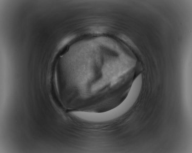 X0000083040440200703022052