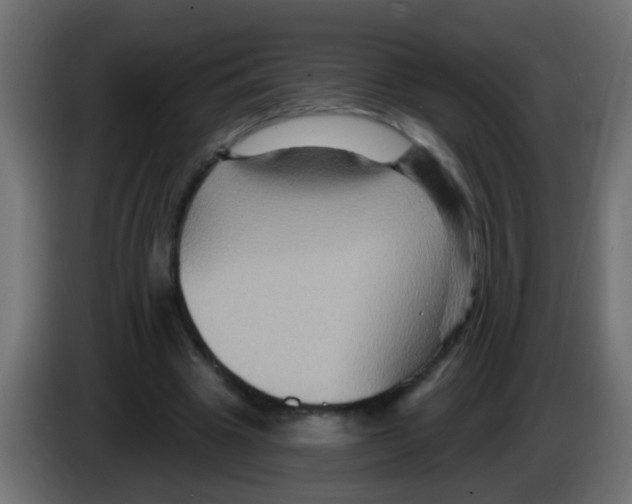 X0000083040441200703022052