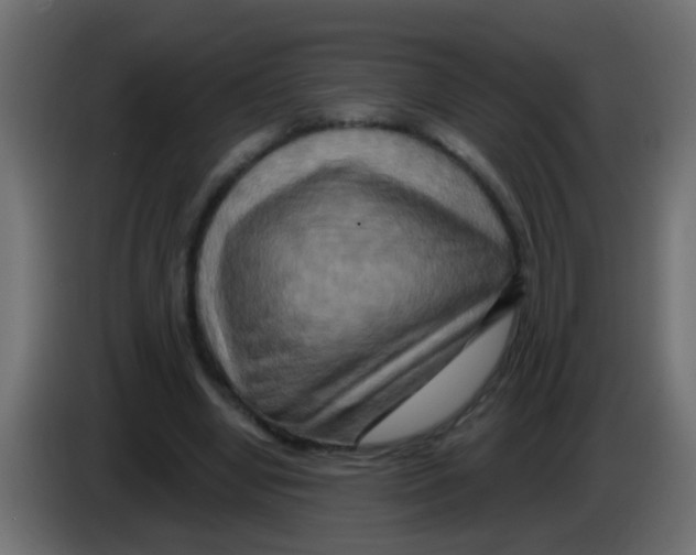 X0000083040442200703022052