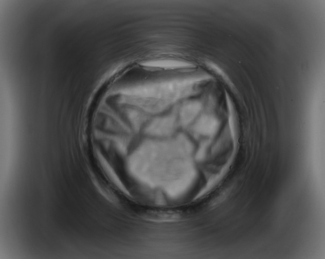 X0000083040443200703022052