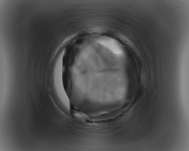 X0000083040444200703022052