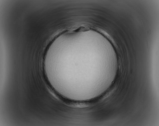 X0000083040445200703022052