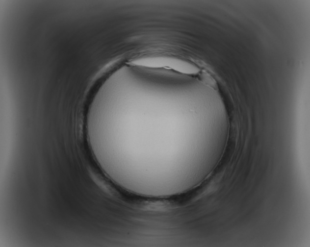 X0000083040446200703022052