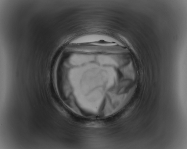 X0000083040447200703022052