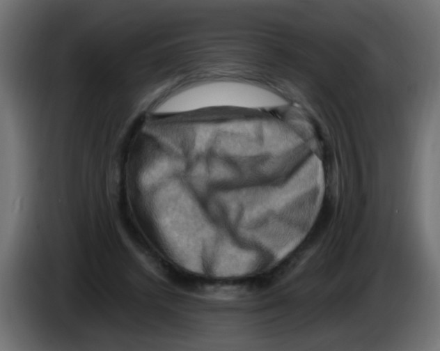 X0000083040448200703022052