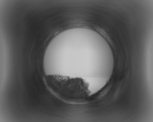 X0000083040449200703022052