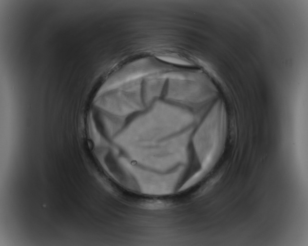 X0000083040453200703022052