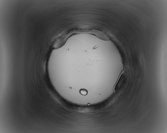 X0000083040454200703022052