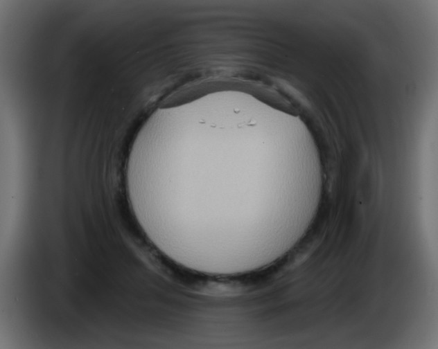 X0000083040455200703022052