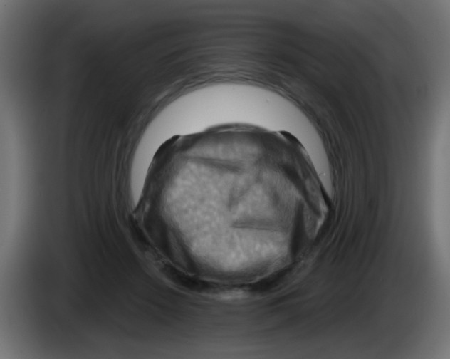 X0000083040456200703022052