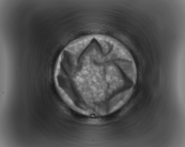 X0000083040457200703022052