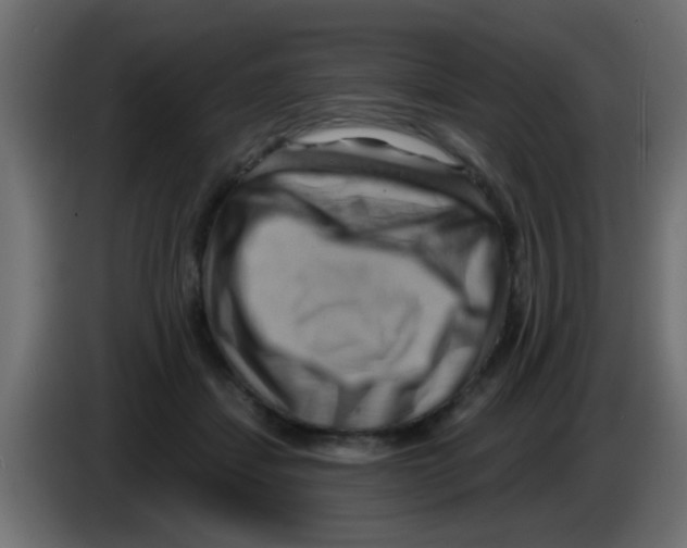 X0000083040459200703022052