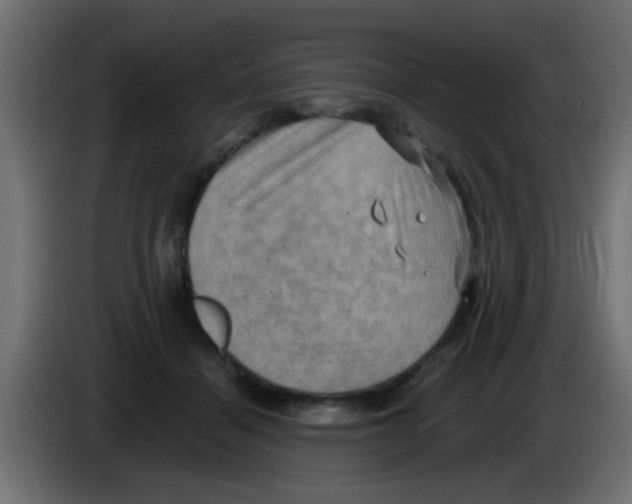 X0000083040460200703022052