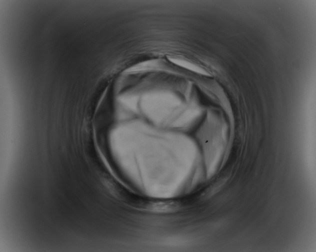 X0000083040461200703022052