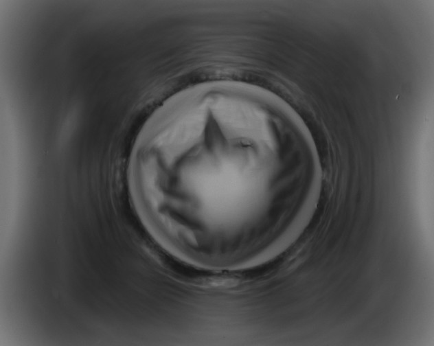 X0000083040462200703022052
